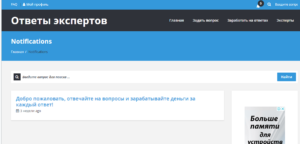 Как заработать на сайте vamber.ru?